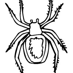 Excellent Spider Shape Template Crafts Colouring Pages Free Premium Templates Craft