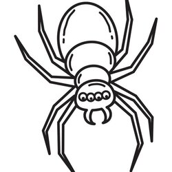 Superlative Spider Shape Template Crafts Colouring Pages Free Premium Coloring Printable Kids Halloween