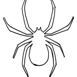The Highest Quality Spider Template Best Halloween Outline Templates Scary Clip Web Printable Animal Drawing