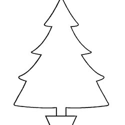 Christmas Tree Templates In All Shapes And Sizes Trees Potted First School