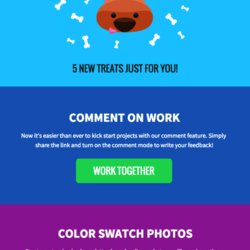 Engaging Email Newsletter Templates Design Tips Examples For Defined Section Action Call Each Well