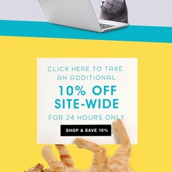 Engaging Email Newsletter Templates Design Tips Examples For Marketing Template Fun Newsletters Accidental