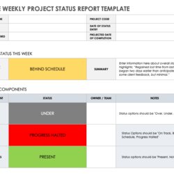 Worthy Weekly Status Report Templates Simple Project Template