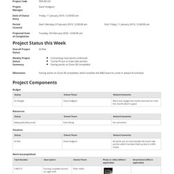 Fine Weekly Project Status Report Template Free And Example Templates Update Production Reports Forms Preview