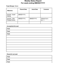 Eminent Weekly Status Report Template In Word And Formats Templates Project
