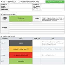 Matchless Weekly Project Status Report Template