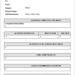 Swell Free Sample Status Reports In Google Docs Ms Word Pages Report Weekly Template Activity Templates