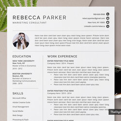 Exceptional Format For Job Professional Template Microsoft Word Resume Templates