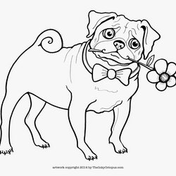 Excellent Pug Coloring Pages Printable Home Pugs Dog Kids Cute Color Pig Sheets Cartoon Print Colouring Baby