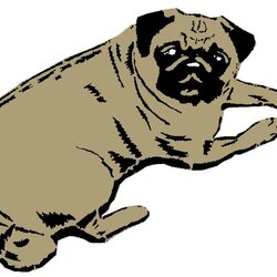 Perfect Best Images About Le Edits On Sexy Hamsters And Logos Pug Stencils Pugs