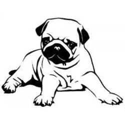 Collection Of Pug Free Download Best On Outline Template Dogs Drawing