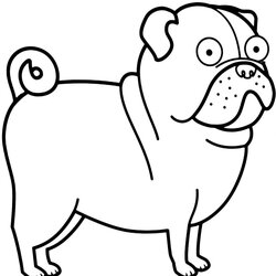 Outstanding Free Printable Pug Coloring Pages Dog