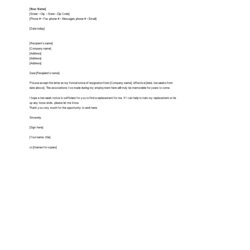 Resignation Letter To Team