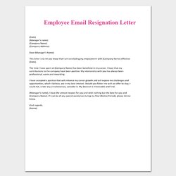 How To Write Resignation Letter Template With Examples Employee Email Copy