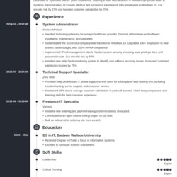 Tech Resume Examples Template Full Guide Technical Example Concept