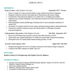 Superb Technical Resume Examples Sample Own Only Template