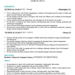 Technical Resume Sample Examples Own Only Example