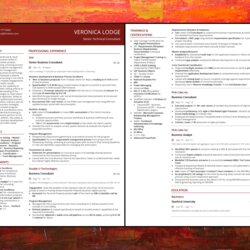 Sterling Guide To Writing Technical Resume With Examples Format Right Choose Sample