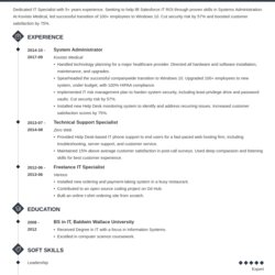 Wizard Tech Resume Examples Template Full Guide Technical Example Diamond Skills