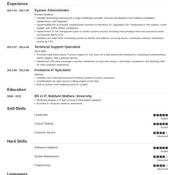 Swell Tech Resume Examples Template Full Guide Technical Example