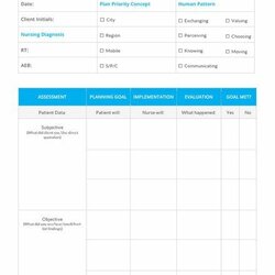 Swell Editable Nursing Care Plan Example Download In Word Google Docs Template Plans Templates Printable