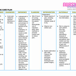 Great Nursing Care Plan Example Document Template Diagnosis List Beautiful Of