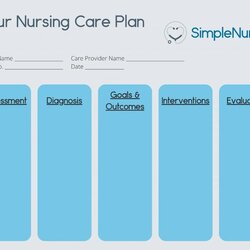 Eminent Nursing Care Plans With Our Plan Template