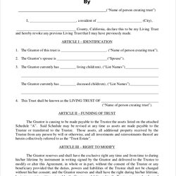 Superb Joint Living Trust Sample Template Form Examples Word Revocable
