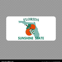 Out Of This World Blank Florida License Plate Template Vehicle Registration Vector