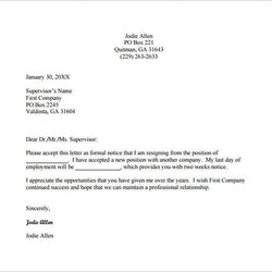 Great Simple Resignation Letter Example Template Free Word Excel Premium How To Write Format