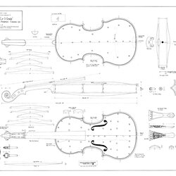 Superlative Violin Scroll Drawing At Free Download Stradivari Antonio Draw Stradivarius Cello Le Lessons