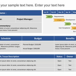 Cool Executive Summary Project Status Report Template Dashboard Scaled