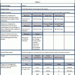 Sample Project Status Report Template Management Pertaining Progress Templates Plan Summary Choose Board