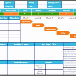 Project Management Status Report Template Inspirational Of