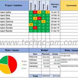 Swell Project Status Report Template Free Download Management Program Multiple Projects Templates Progress