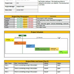 Capital One Page Project Status Report Template Weekly Free Word Management Templates Final