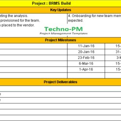 Tremendous One Page Project Status Report Template Weekly Free Management Excel Simple Templates Update