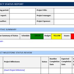 Outstanding Project Management Status Report Template For Your Needs Implementation