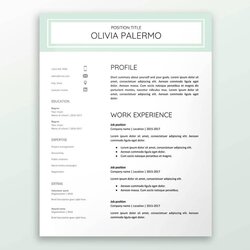 Resume Template For Google Docs Professional Modern And Templates