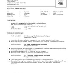 Exceptional Resume Template