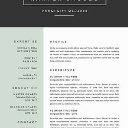 Supreme Best Resume Templates Images On Creative Curriculum Format