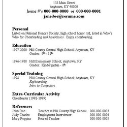 Magnificent Professional Resume Templates Layout College Admissions Objective