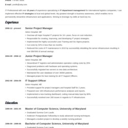 Fantastic Best Resume Templates In Picks To Use Now Template