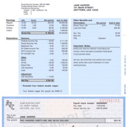 High Quality Pay Stub Template Google Docs Printable Word Searches Fill Online In Document