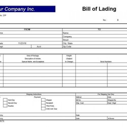 Champion Bill Of Lading Template Excel Incredible Form Resolution High