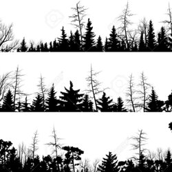 Legit Forest Outline Vector Silhouettes Silhouette Coniferous Horizontal Treetops Set
