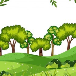 Superior Premium Vector Nature Forest Template