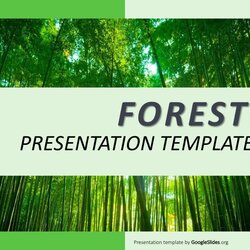 Peerless Animal And Wildlife Presentation Templates Google Slides Forest Template