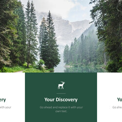 Eminent Forest Template Free Printable Templates Multipurpose Design