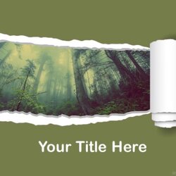 Free Forest Template Download